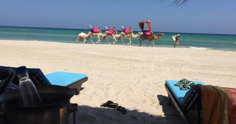 Djerba Orient — 2