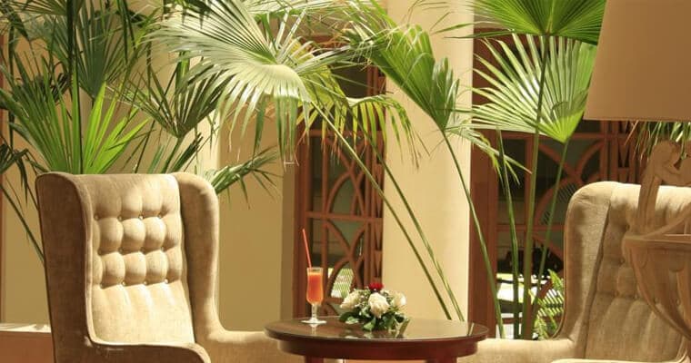 Hasdrubal Prestige Thalassa & Spa Djerba — 2